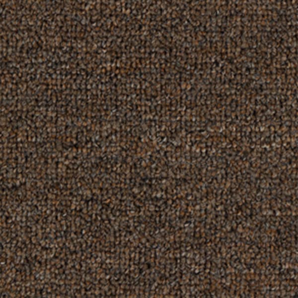 Gladiador - Acorn