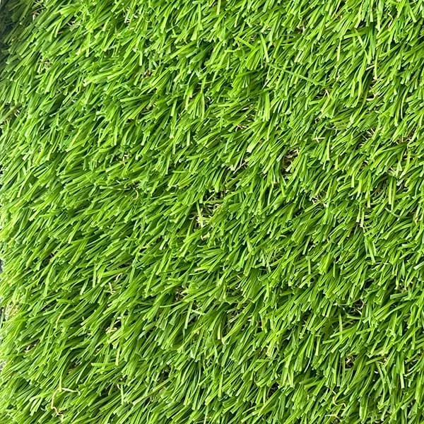 Breeze 35