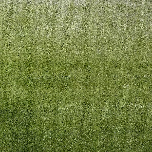 Pasto Riviera - Green