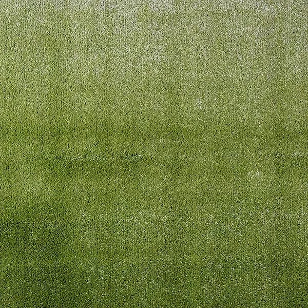 Pasto Riviera - Green