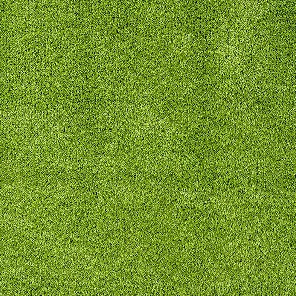 Pasto Amazonas - Green