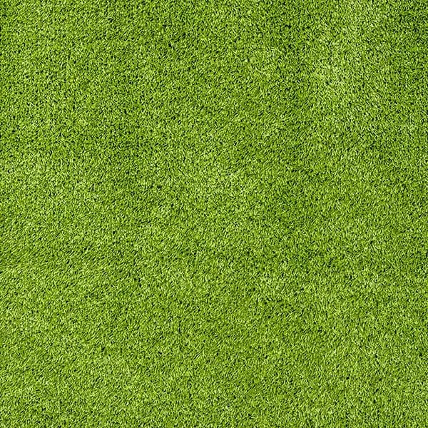 Pasto Amazonas - Green