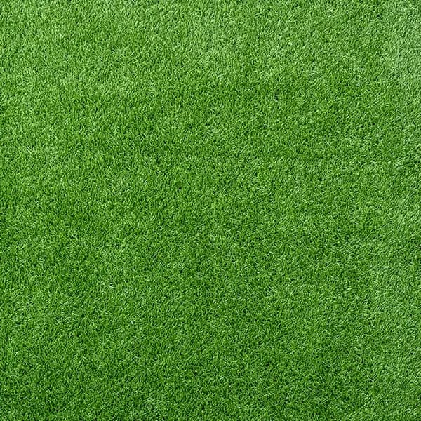 Pasto Caribe - Green