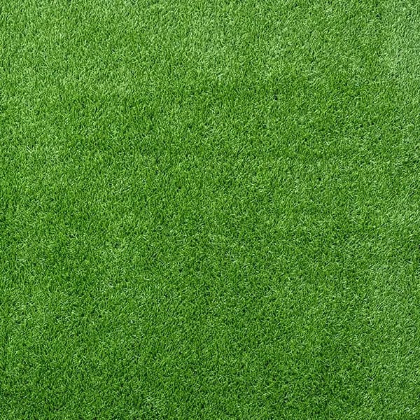 Pasto Caribe - Green