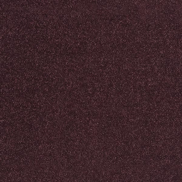 Serene - Dark Purple