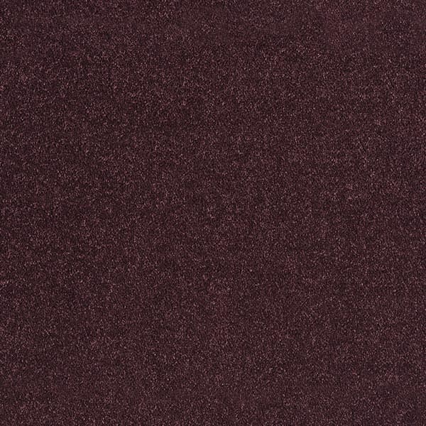 Supreme - Dark Purple