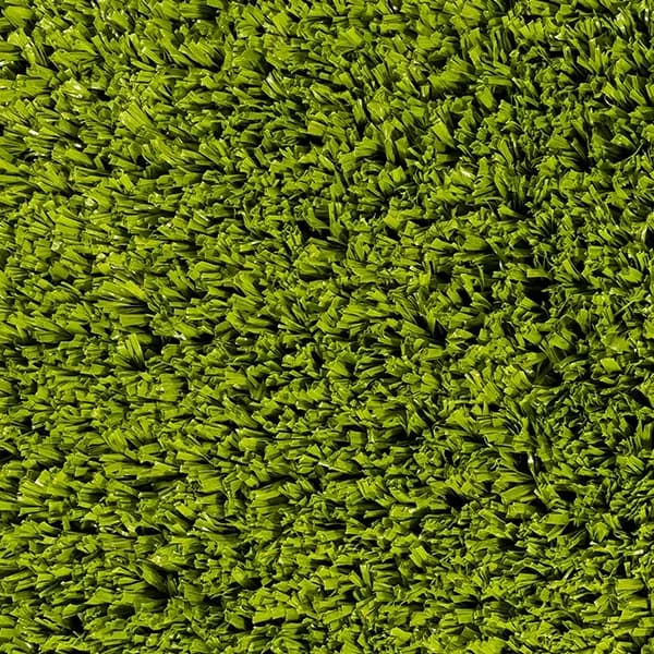 Pear Green