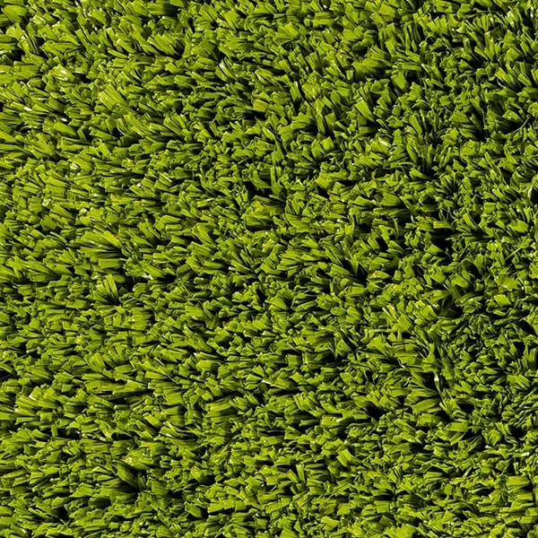 Pear Green