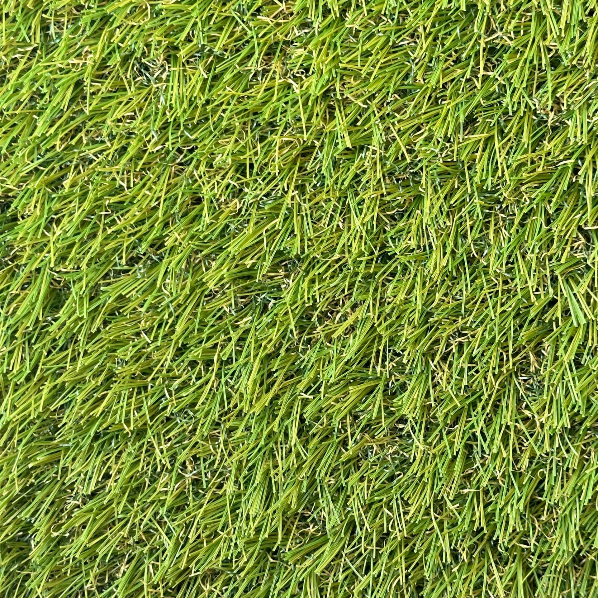 Park Ii 20