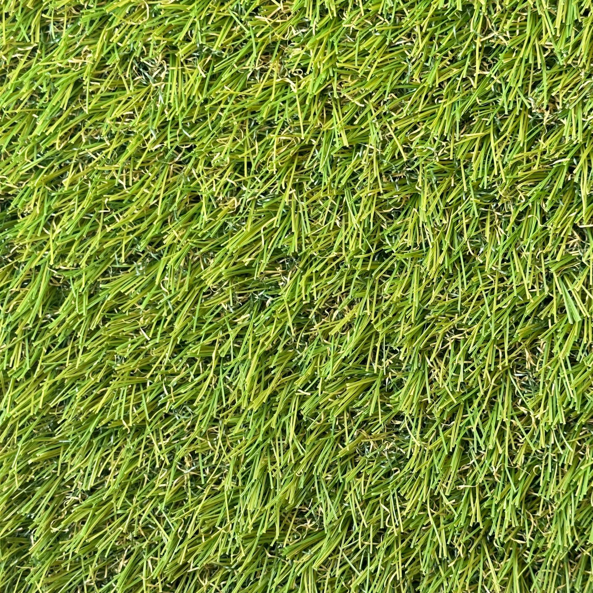 Park Ii 20
