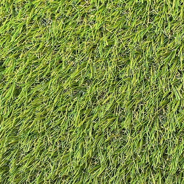 Park Ii 35