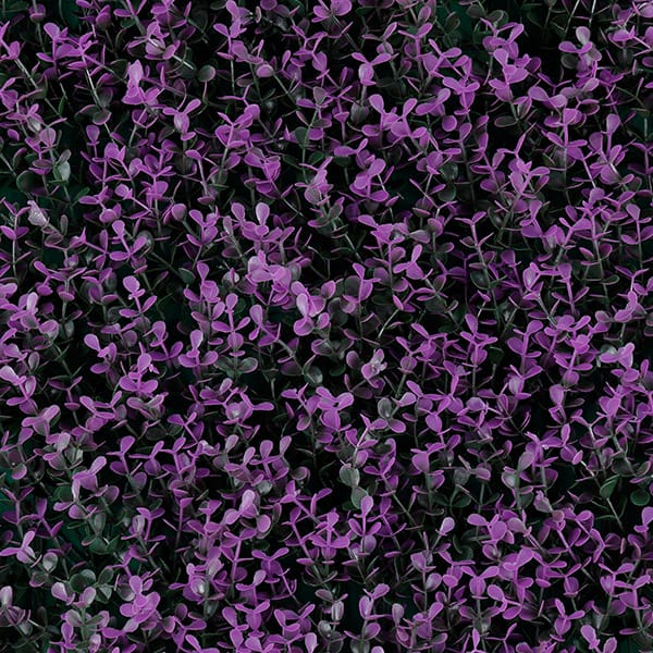 Green Walls