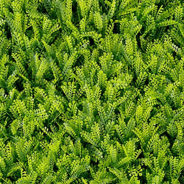 Green Walls