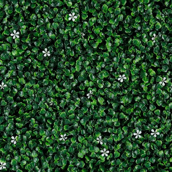 Green Walls