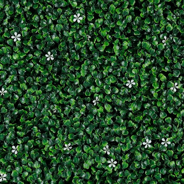 Green Walls